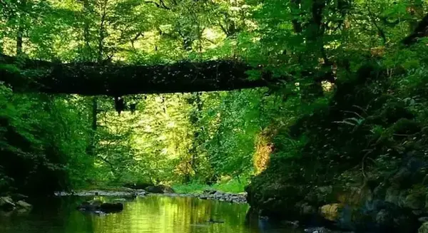 عکس جاهای دیدنی عباس آباد کلاردشت
