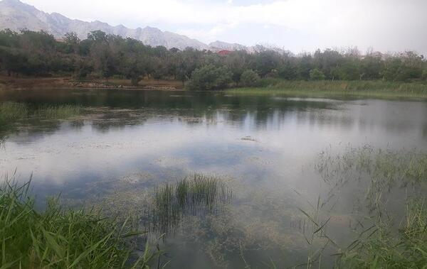 عکس جاهای دیدنی طرق رود نطنز
