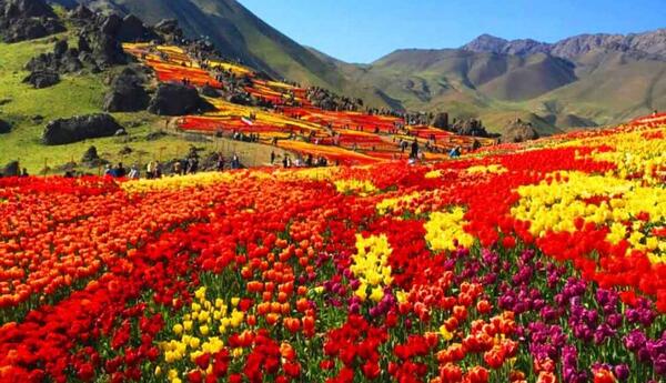 عکس جاهای دیدنی صفادشت کرج