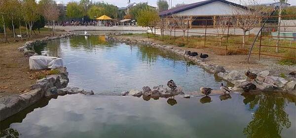 عکس جاهای دیدنی صفادشت کرج