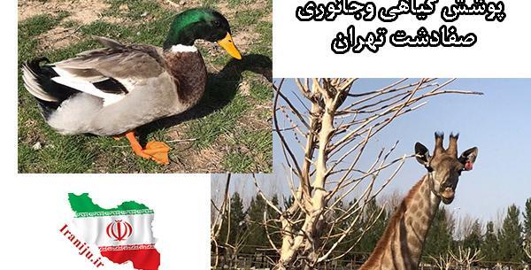 عکس جاهای دیدنی صفادشت ملارد