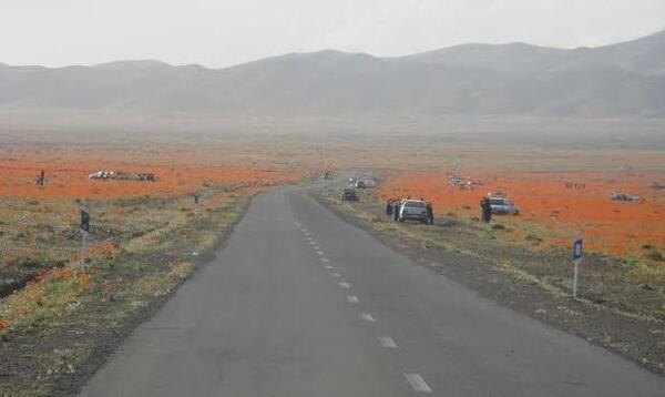 عکس جاهای دیدنی صفادشت ملارد