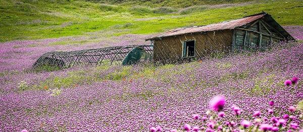 عکس جاهای دیدنی شمال ایران در بهار