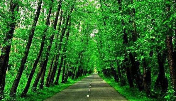 عکس جاهای دیدنی شمال ایران کجاست