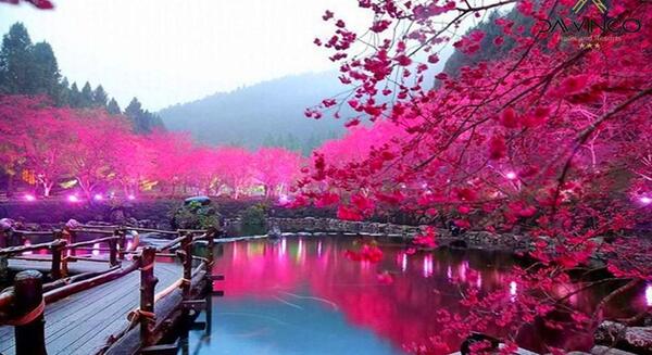 عکس جاهای دیدنی کشور ژاپن
