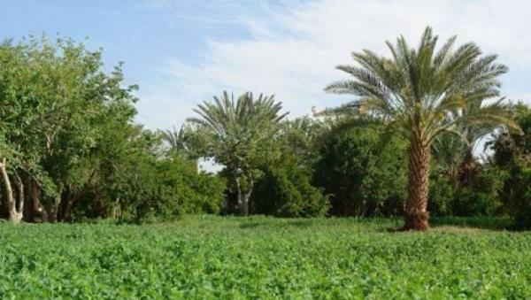 عکس جاهای دیدنی و تفریحی زاهدان