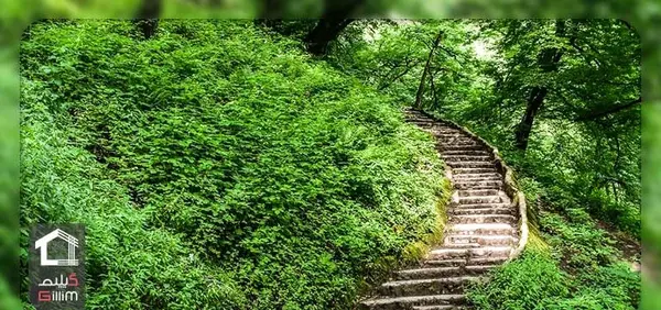 عکس جاهاي ديدني رشت و اطراف