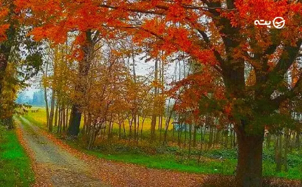 عکس جاهاي ديدني رشت و اطراف