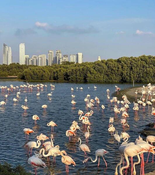 عکس جاهای دیدنی دبی رایگان