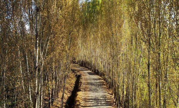 عکس جاهای دیدنی پره خوی