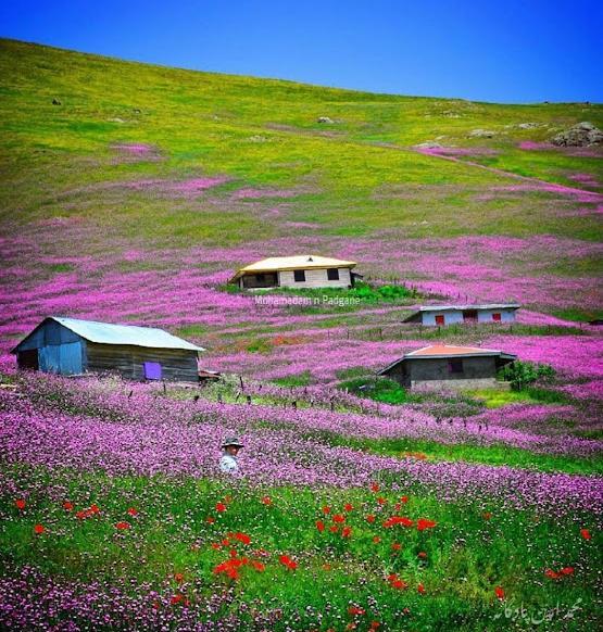 عکس جاهای دیدنی خلخال اکنون باز است