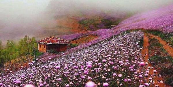 عکس جاهای دیدنی خلخال اکنون باز است