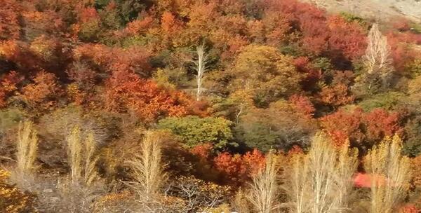 عکس جاهای دیدنی اطراف تهران