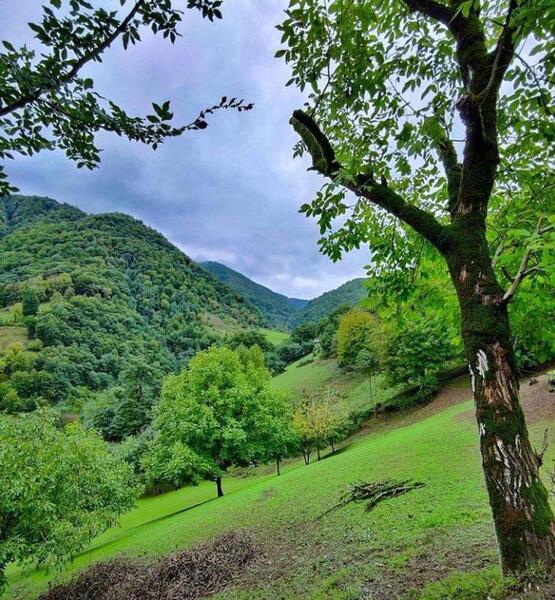 عکس جاهای دیدنی اطراف گردنه حیران