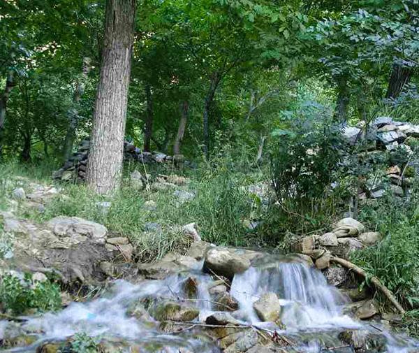 عکس جاهاي ديدني قم
