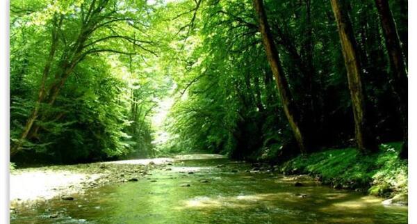 عکس جاهای دیدنی قم در شب