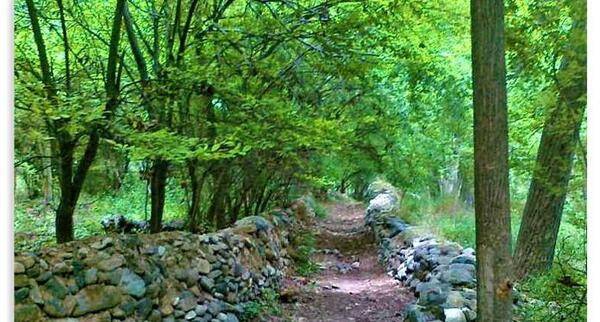 عکس جاهای دیدنی قم نزدیک حرم