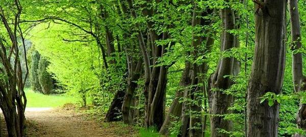 عکس جاهای دیدنی تنکابن نشتارود