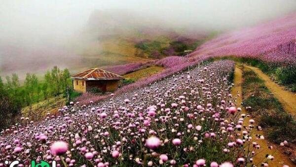 عکس جاهای دیدنی تالش و اطراف