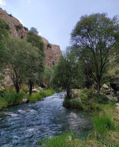 عکس جاهای دیدنی اطراف پلور