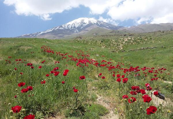 عکس جاهای دیدنی اطراف پلور