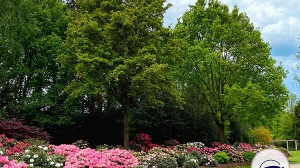 عکس جاهای دیدنی شهر برمن آلمان