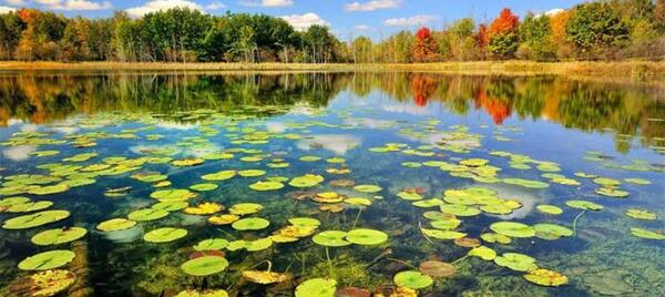 عکس جاهای دیدنی بندر انزلی نی نی سایت