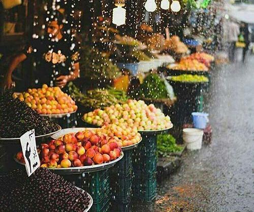 عکس جاهای دیدنی بندر انزلی نی نی سایت