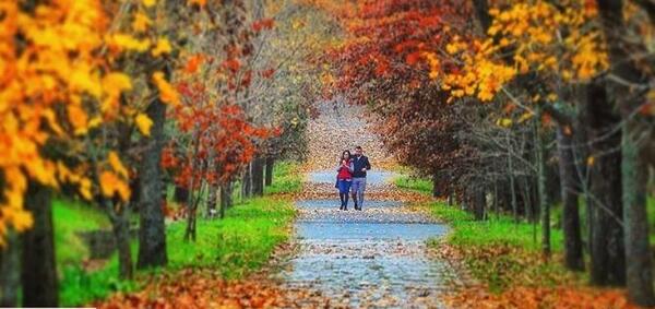 عکس جاهای دیدنی آنکارا در پاییز