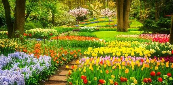 عکس جاهای دیدنی هلند در بهار