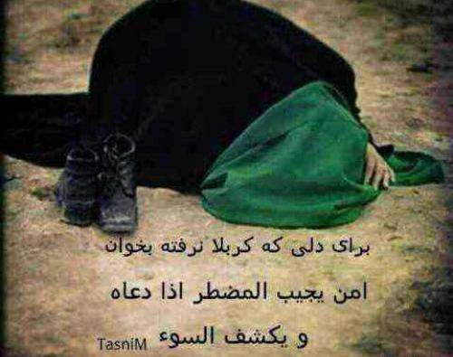 عکس برای ماه سفر