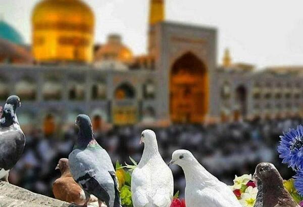 عکس سفر به مشهد