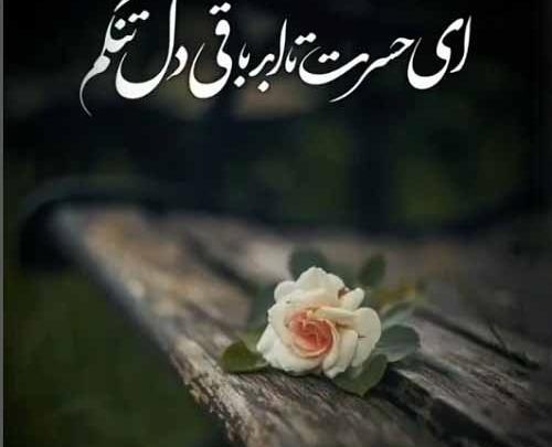 عکس پروفایل عزیز سفر کرده