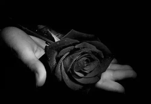 عکس نوشته برای عزیز سفر کرده