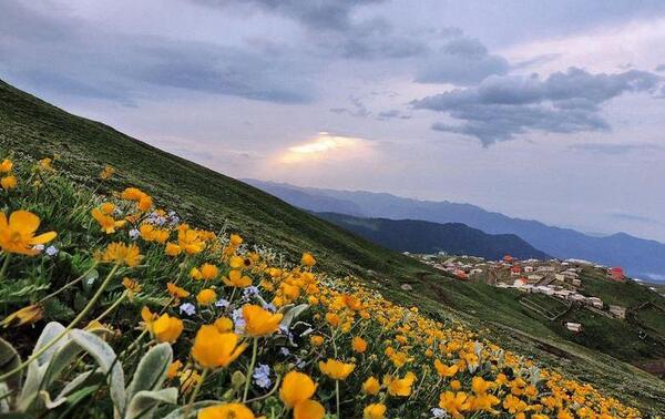 عکس سفر به شمال