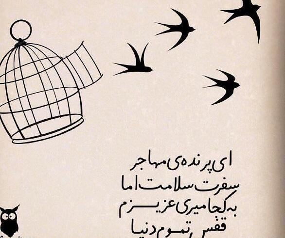 عکس نوشته سفر سلامت عزیزم