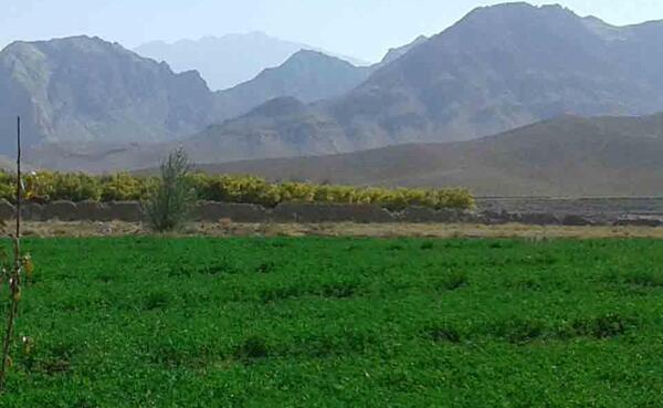 عکس شهر کرمان از بالا