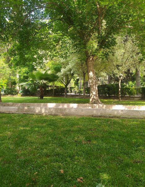 عکس پارک شهر گرگان