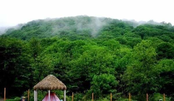 عکس پارک شهر گرگان