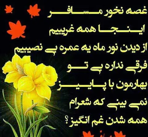 عکس نوشته سفر به سلامت عشقم