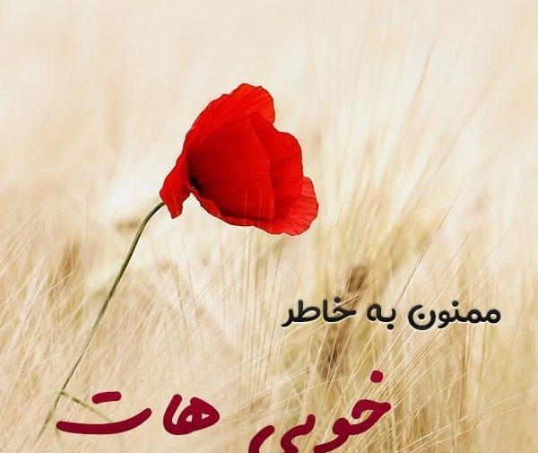 عکس نوشته همسرم سفر به سلامت