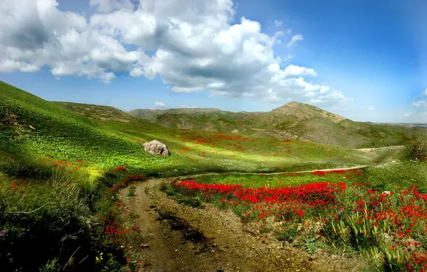 عکس از شهر یا روستا