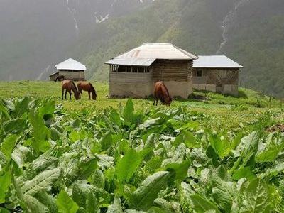 عکس از روستاهای شمال