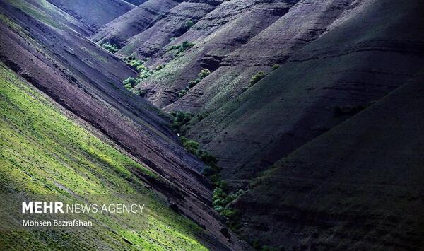 عکس از روستای واریان