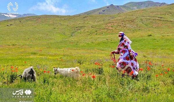 عکس روز روستا و عشایر