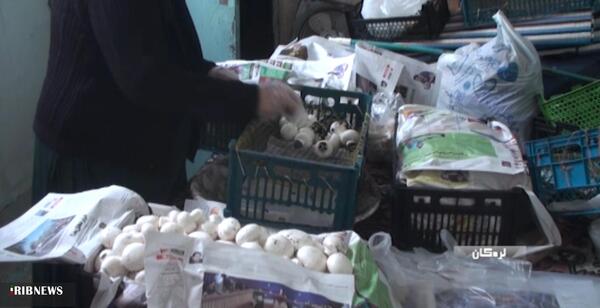 عکس روستای پل بریده لردگان