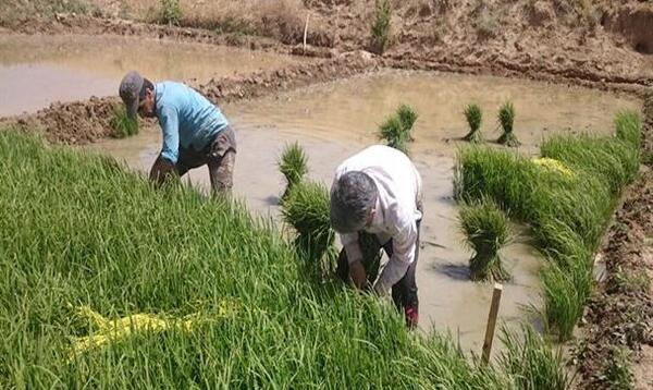 عکس روستای پل بریده لردگان