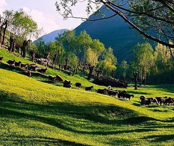عکس روستای لیقوان تبریز
