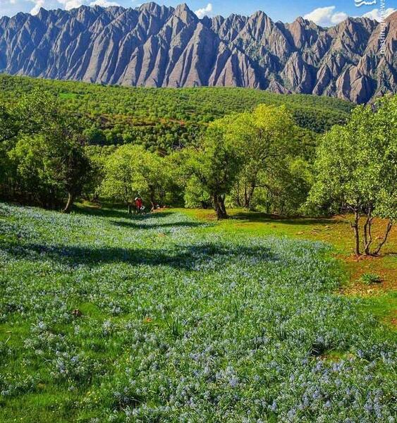 عکس از شهر لرستان
