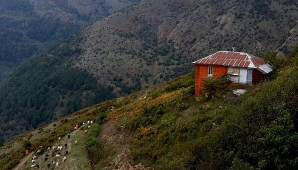 عکس از روستای فیلبند مازندران
